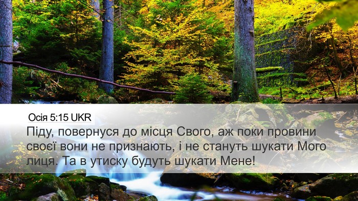 Осія 5:15 UKR Bible Verse Image