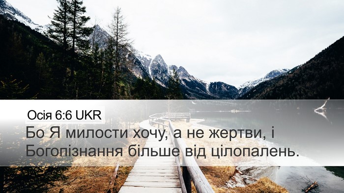 Осія 6:6 UKR Bible Verse Image
