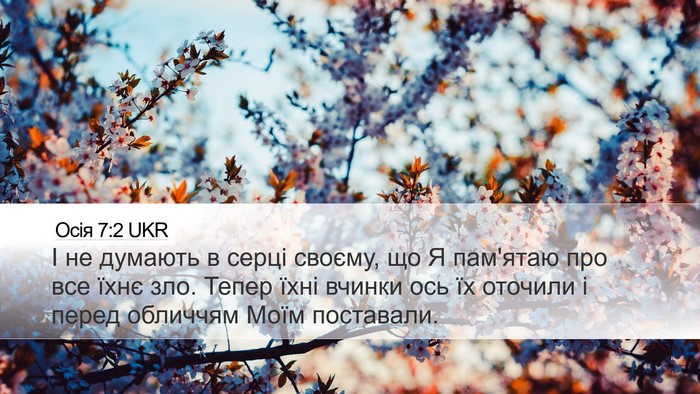 Осія 7:2 UKR Bible Verse Image