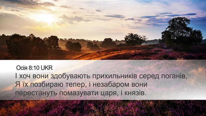 Осія 8:10 UKR Bible Verse Image