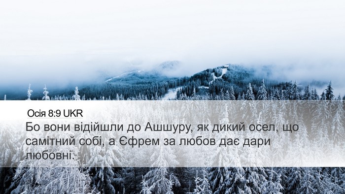 Осія 8:9 UKR Bible Verse Image
