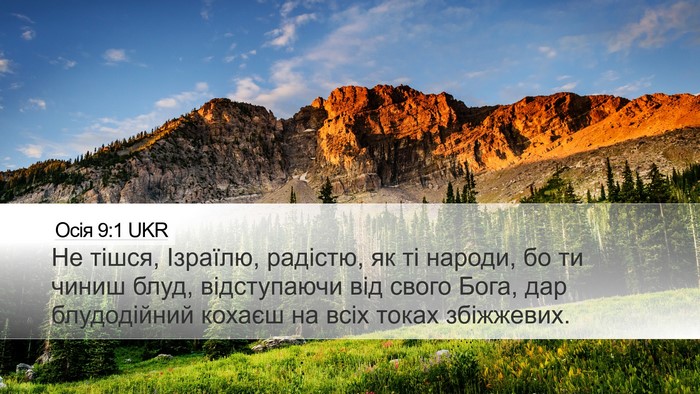 Осія 9:1 UKR Bible Verse Image