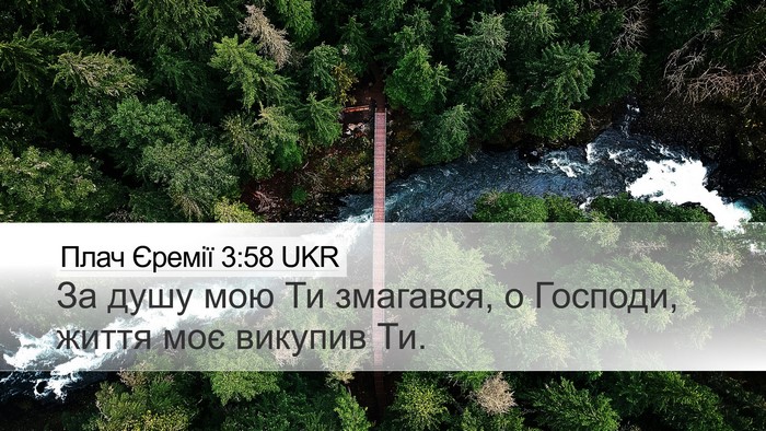 Плач Єремії 3:58 UKR Bible Verse Image