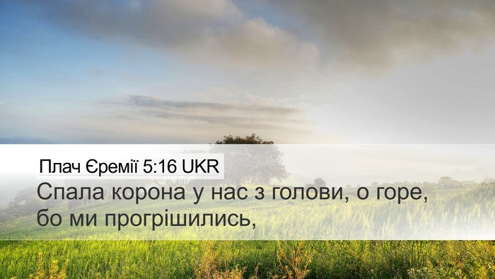 Плач Єремії 5:16 UKR Bible Verse Image