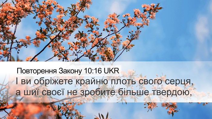 Повторення Закону 10:16 UKR Desktop Wallpaper - І ви обріжете крайню плоть - Desktop Bible Verse Wallpaper