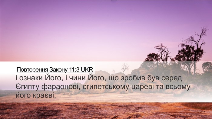 Повторення Закону 11:3 UKR Desktop Wallpaper - і ознаки Його, і чини Його, - Desktop Bible Verse Wallpaper