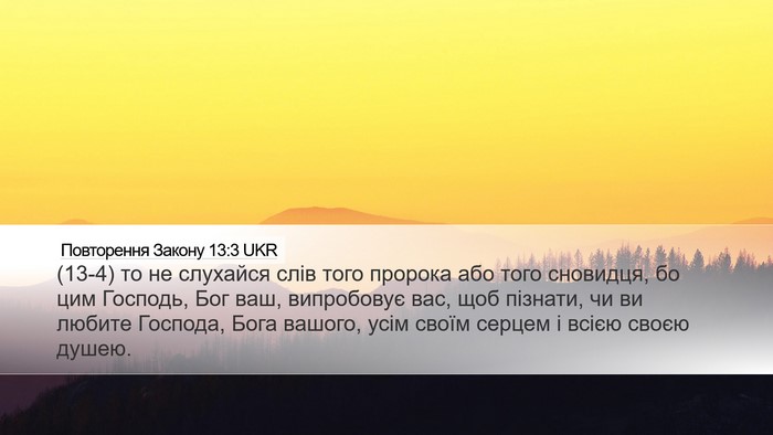 Повторення Закону 13:3 UKR Bible Verse Image