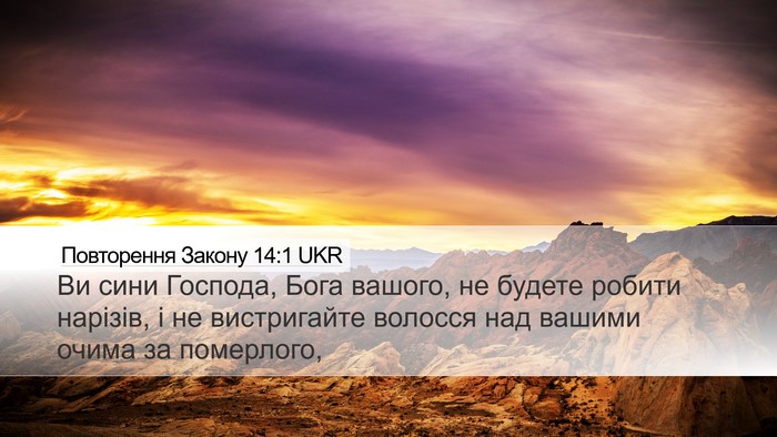 Повторення Закону 14:1 UKR Bible Verse Image