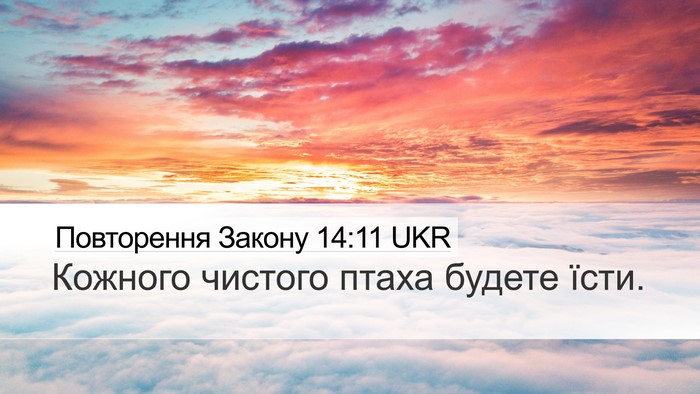 Повторення Закону 14:11 UKR Desktop Wallpaper - Кожного чистого птаха - Desktop Bible Verse Wallpaper