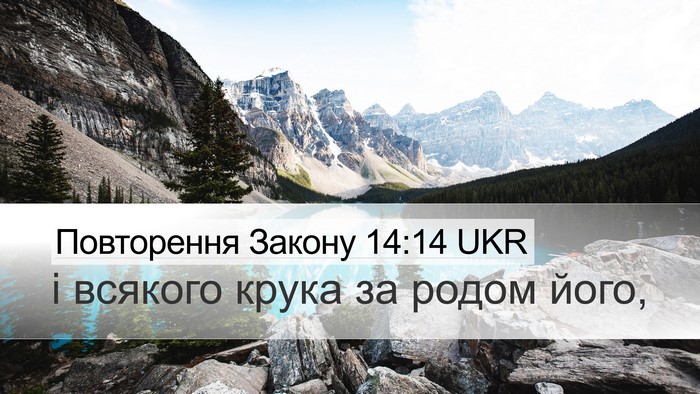 Повторення Закону 14:14 UKR Desktop Wallpaper - і всякого крука за родом - Desktop Bible Verse Wallpaper