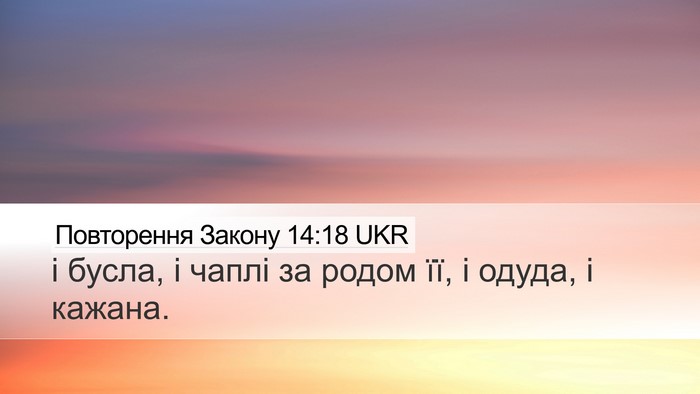 Повторення Закону 14:18 UKR Desktop Wallpaper - і бусла, і чаплі за родом - Desktop Bible Verse Wallpaper
