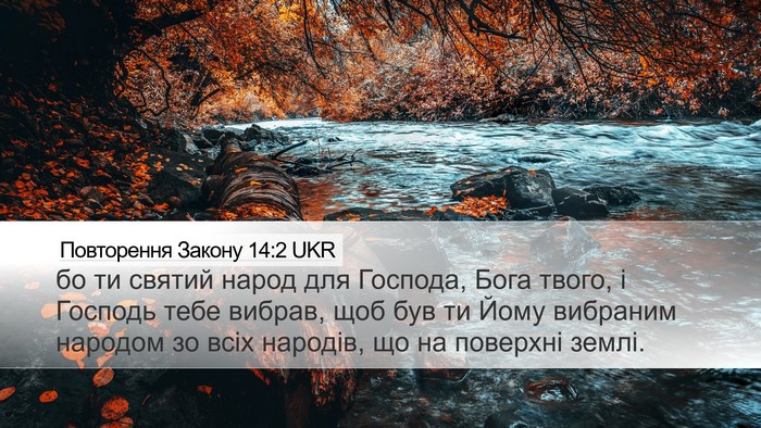 Повторення Закону 14:2 UKR Bible Verse Image