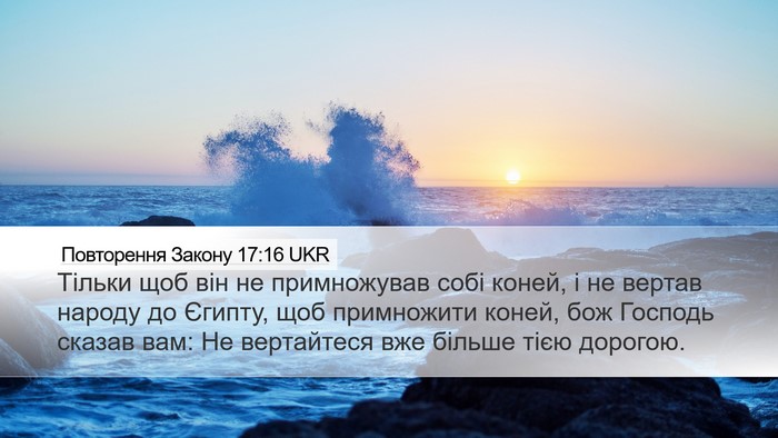 Повторення Закону 17:16 UKR Bible Verse Image