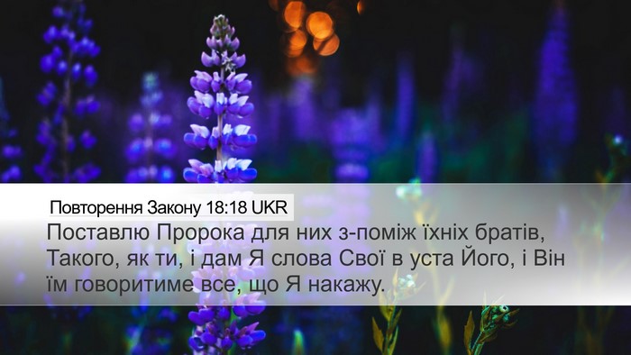 Повторення Закону 18:18 UKR Bible Verse Image