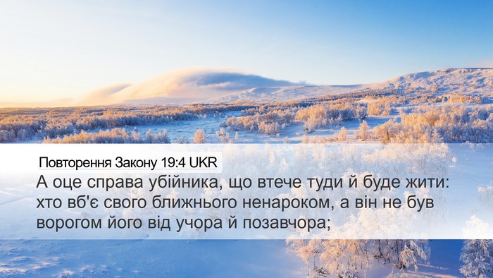Повторення Закону 19:4 UKR Bible Verse Image
