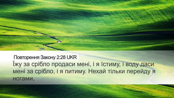 Повторення Закону 2:28 UKR Bible Verse Image