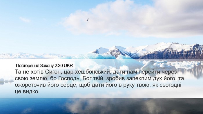 Повторення Закону 2:30 UKR Bible Verse Image