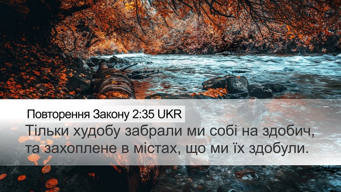 Повторення Закону 2:35 UKR Bible Verse Image