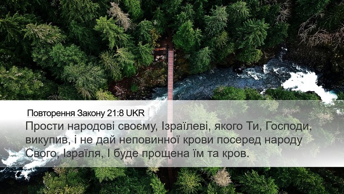 Повторення Закону 21:8 UKR Bible Verse Image