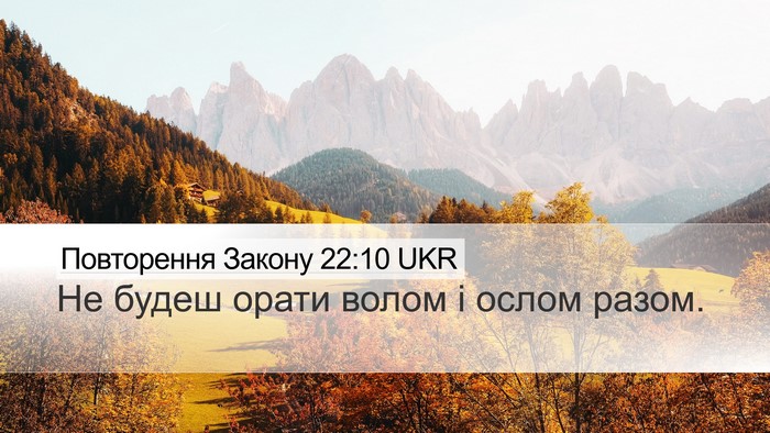 Повторення Закону 22:10 UKR Desktop Wallpaper - Не будеш орати волом і - Desktop Bible Verse Wallpaper