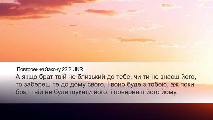 Повторення Закону 22:2 UKR Desktop Wallpaper - А якщо брат твій не - Desktop Bible Verse Wallpaper