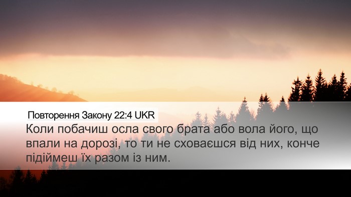 Повторення Закону 22:4 UKR Bible Verse Image