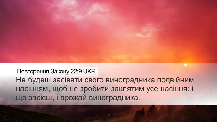 Повторення Закону 22:9 UKR Desktop Wallpaper - Не будеш засівати свого - Desktop Bible Verse Wallpaper