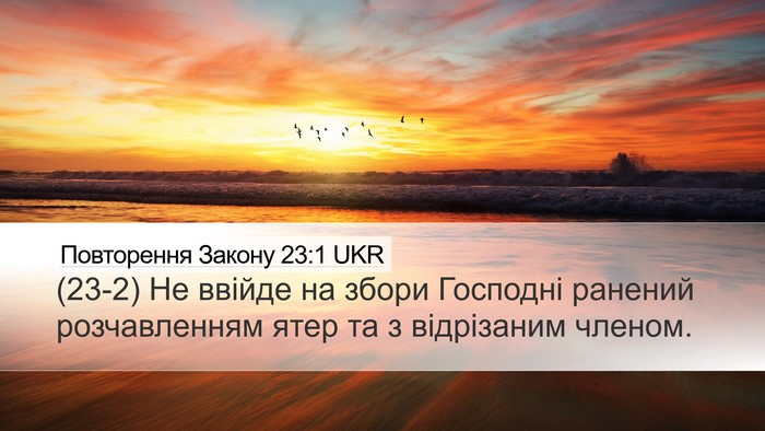 Повторення Закону 23:1 UKR Bible Verse Image