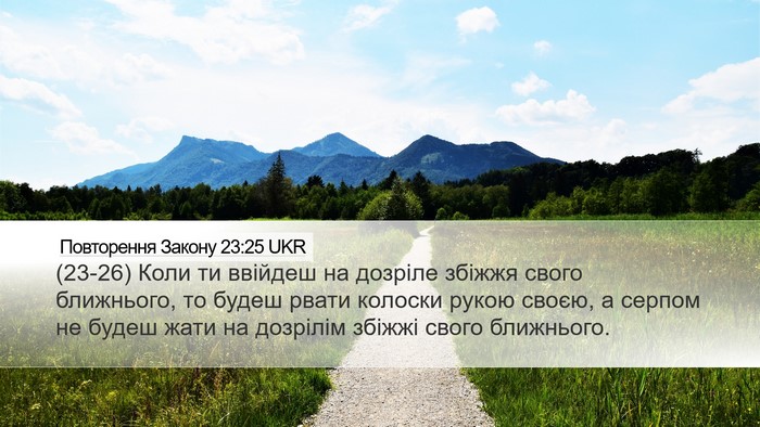 Повторення Закону 23:25 UKR Bible Verse Image