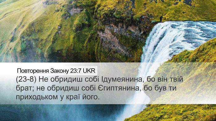 Повторення Закону 23:7 UKR Bible Verse Image