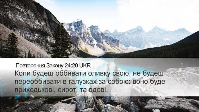 Повторення Закону 24:20 UKR Desktop Wallpaper - Коли будеш оббивати оливку - Desktop Bible Verse Wallpaper