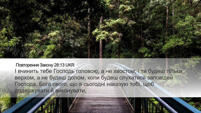 Повторення Закону 28:13 UKR Bible Verse Image