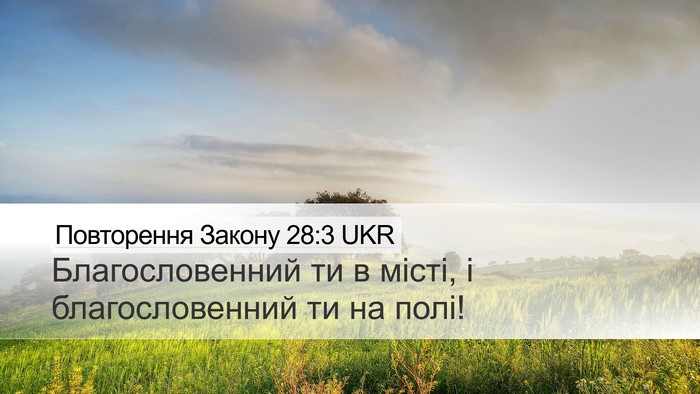 Повторення Закону 28:3 UKR Bible Verse Image