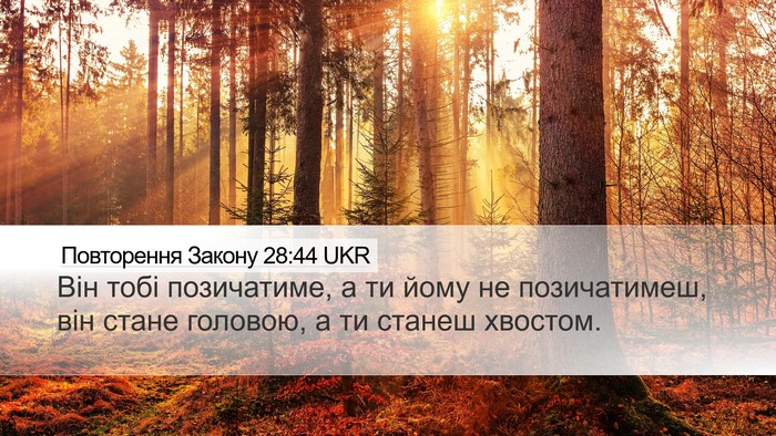 Повторення Закону 28:44 UKR Bible Verse Image