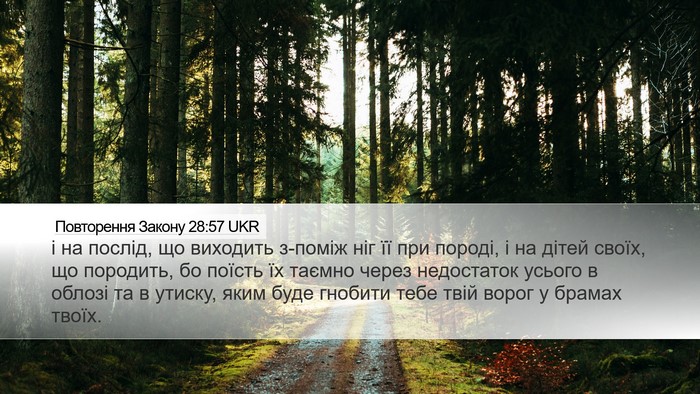 Повторення Закону 28:57 UKR Bible Verse Image