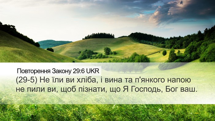Повторення Закону 29:6 UKR Desktop Wallpaper - (29-5) Не їли ви хліба, і вина - Desktop Bible Verse Wallpaper