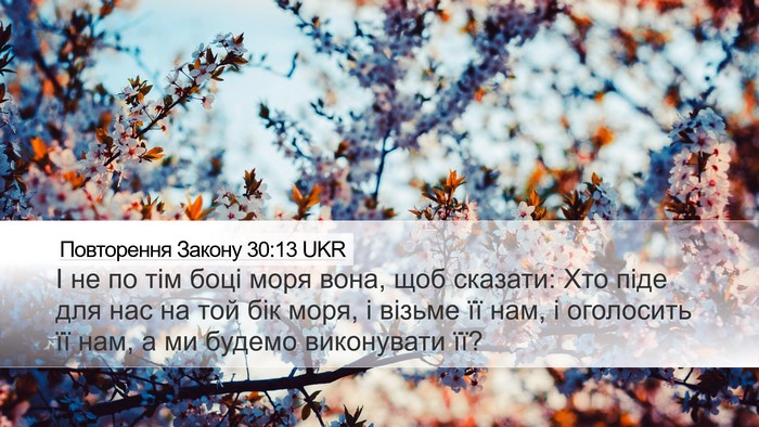 Повторення Закону 30:13 UKR Desktop Wallpaper - І не по тім боці моря вона, - Desktop Bible Verse Wallpaper