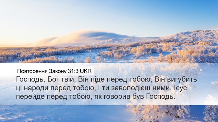 Повторення Закону 31:3 UKR Bible Verse Image