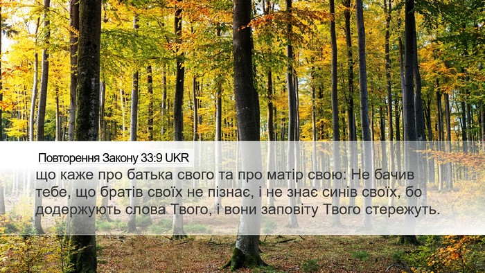 Повторення Закону 33:9 UKR Bible Verse Image