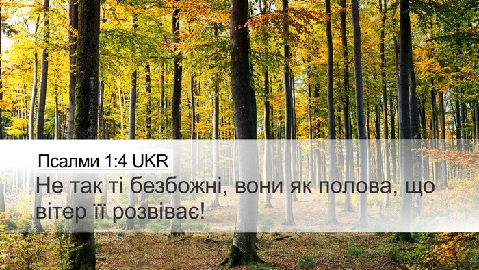 Псалми 1:4 UKR Bible Verse Image