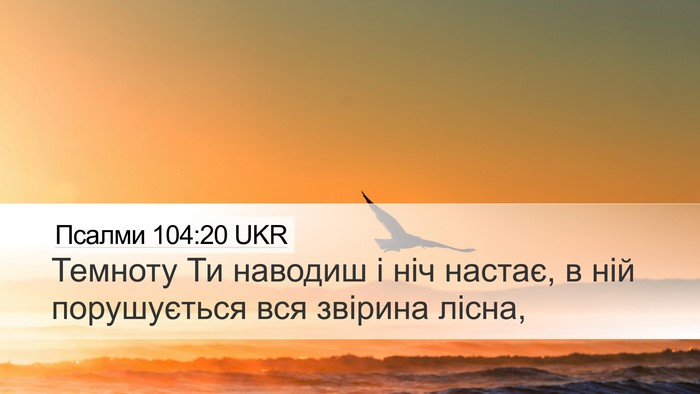 Псалми 104:20 UKR Bible Verse Image