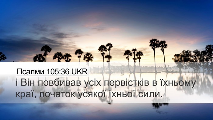 Псалми 105:36 UKR Bible Verse Image
