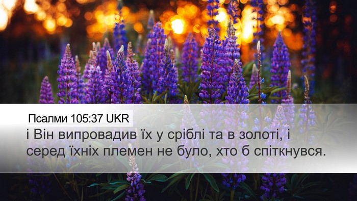 Псалми 105:37 UKR Bible Verse Image