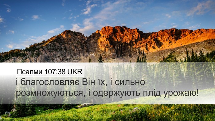 Псалми 107:38 UKR Bible Verse Image