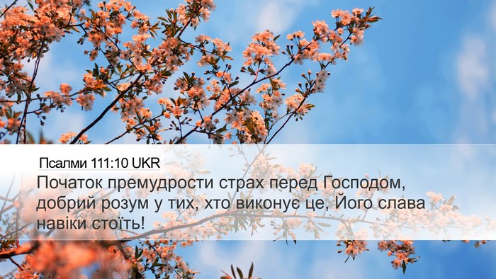 Псалми 111:10 UKR Bible Verse Image