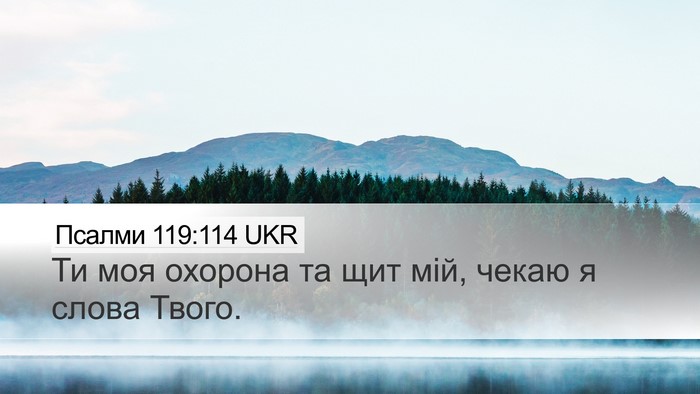 Псалми 119:114 UKR Bible Verse Image