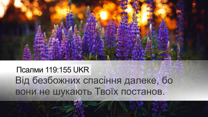 Псалми 119:155 UKR Bible Verse Image