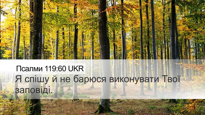 Псалми 119:60 UKR Bible Verse Image