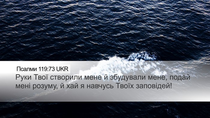 Псалми 119:73 UKR Bible Verse Image