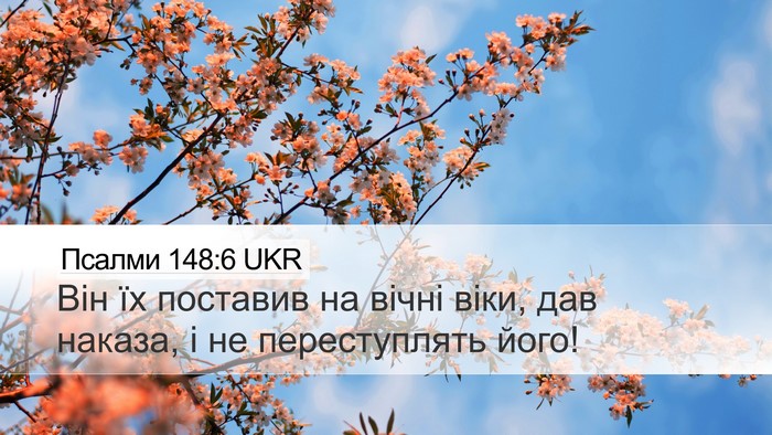 Псалми 148:6 UKR Desktop Wallpaper - Він їх поставив на вічні - Desktop Bible Verse Wallpaper